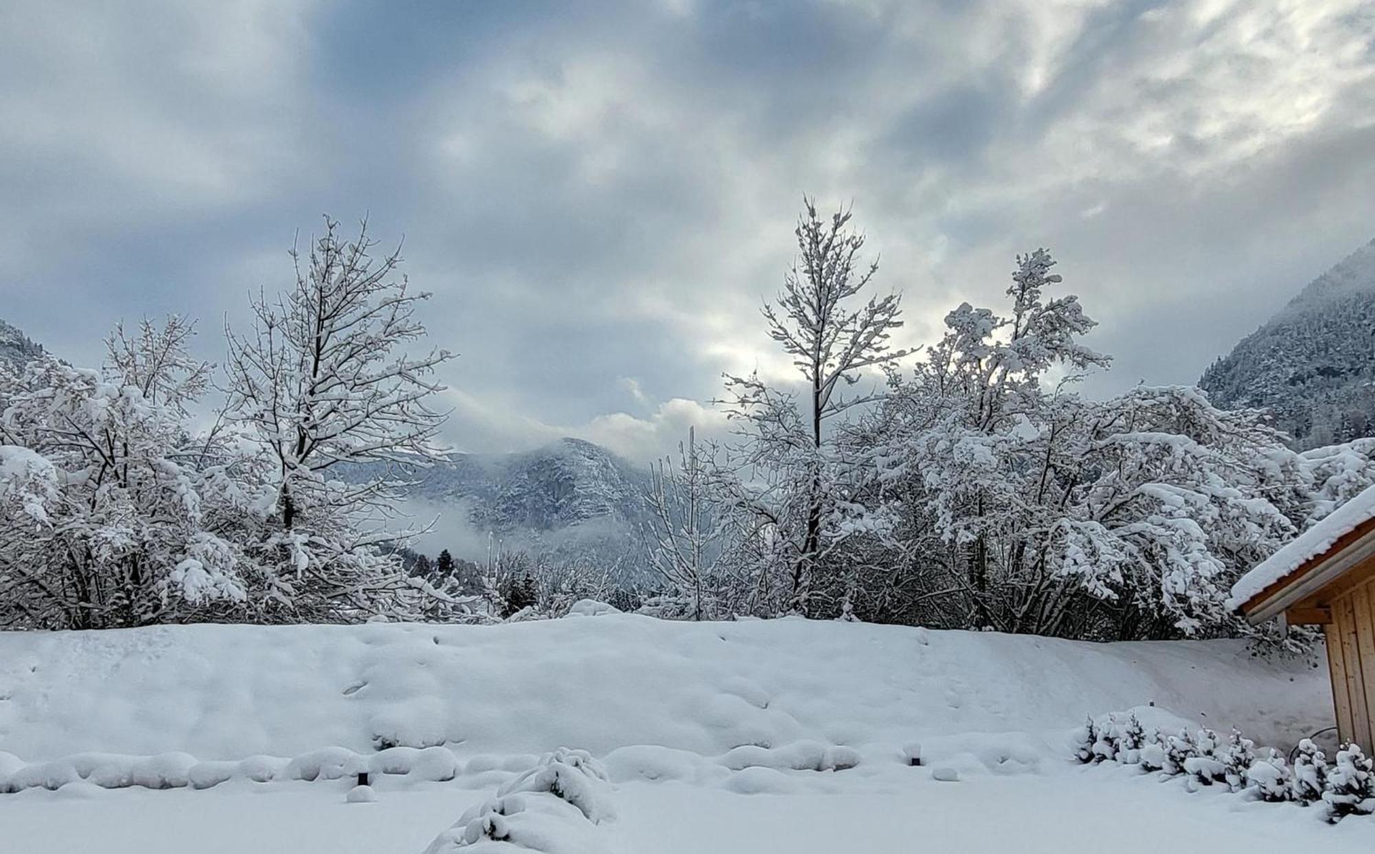 Nickis Bergcamp Schneizlreuth Exterior foto