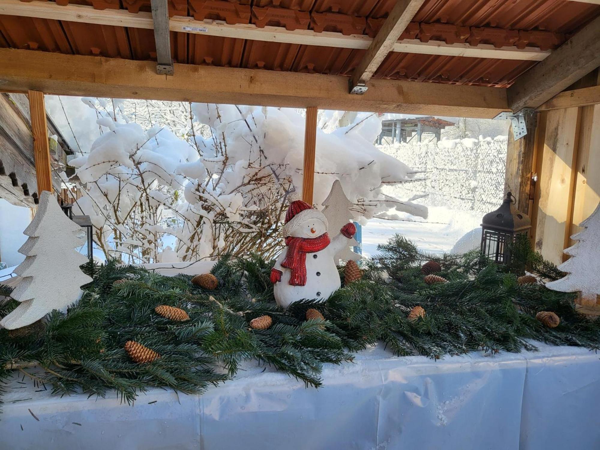 Nickis Bergcamp Schneizlreuth Exterior foto